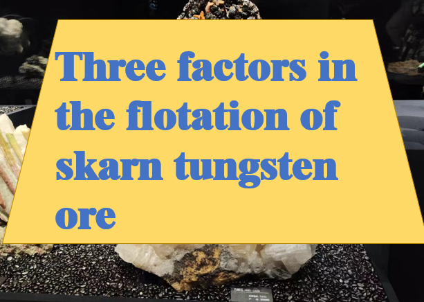 Three-factors-in-the-flotation-of-skarn-tungsten-ore.png