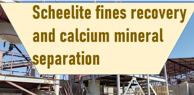 scheelite-fines-recovery-and-calcium-mineral-separation.png